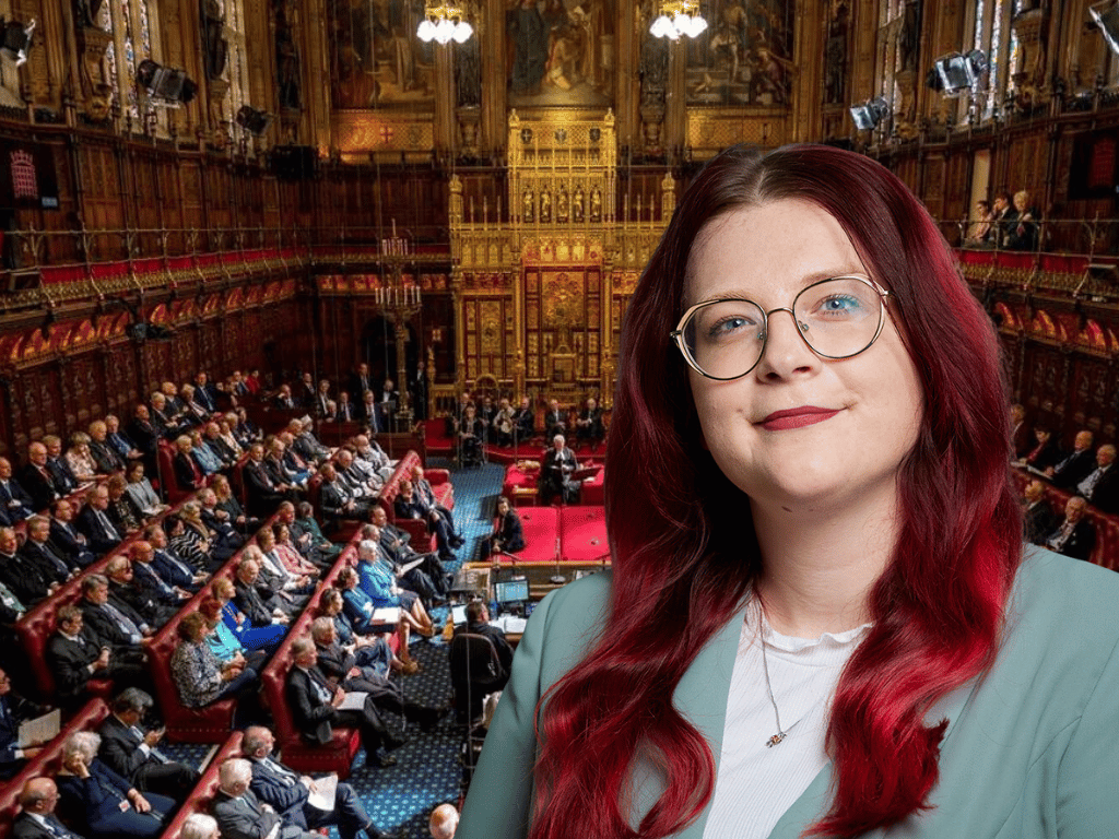 Dyddiadur Barwnes am Oes Newydd